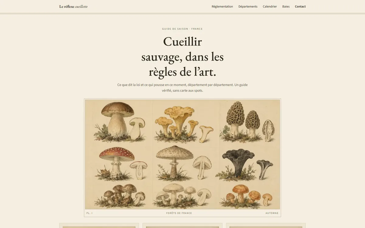 Page d’accueil du site Le réflexe cueillette : le titre « Cueillir sauvage, dans les règles de l’art. » au-dessus d’une planche de champignons dessinés.